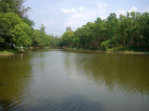 Bhawal National Park